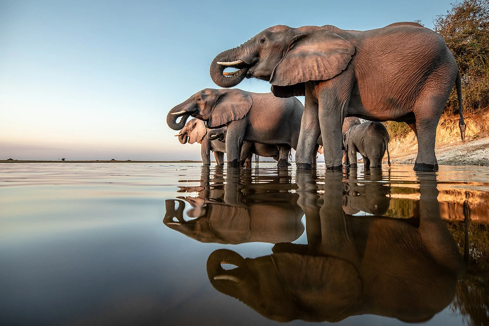 Tanzania Safari Experience